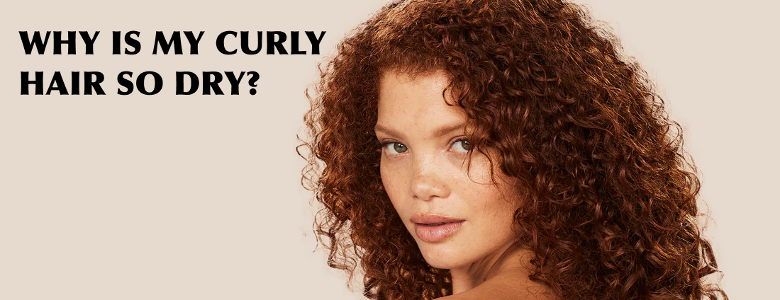 Curly Hair Feeling Dry? Here’s What’s Going On!