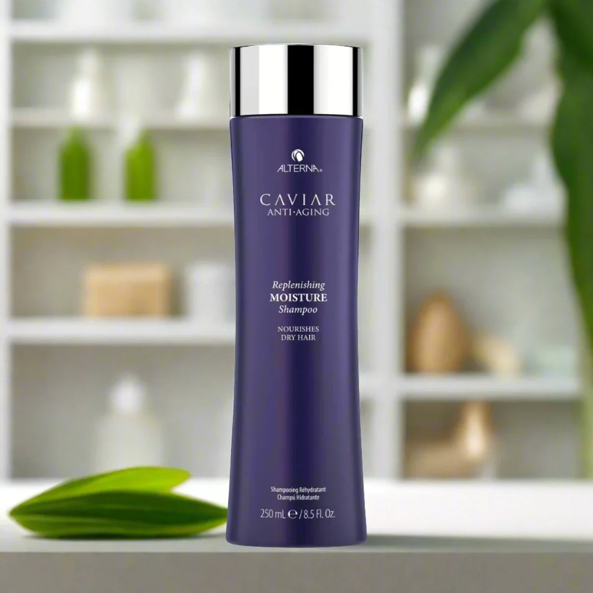 Moisture Shampoo purple 8.5 oz bottle, designed to hydrate and nourish hair while providing a gentle cleanse for all hair types.