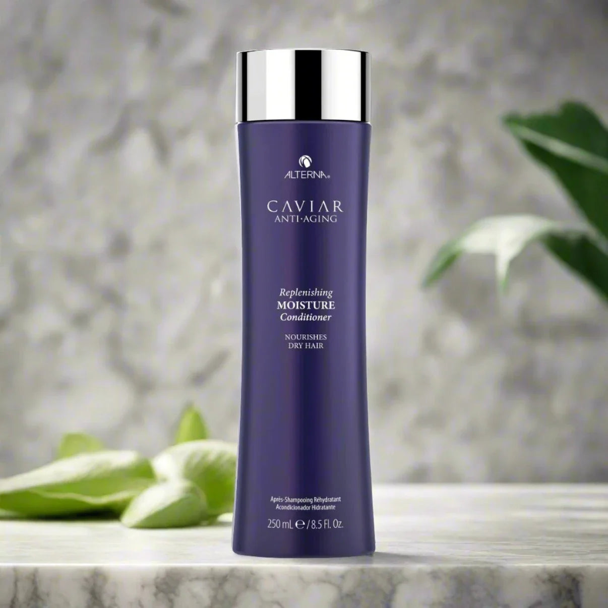 Alterna Moisture Conditioner 8.5 oz bottle, formulated to deeply hydrate and nourish dry hair while improving softness and manageability.