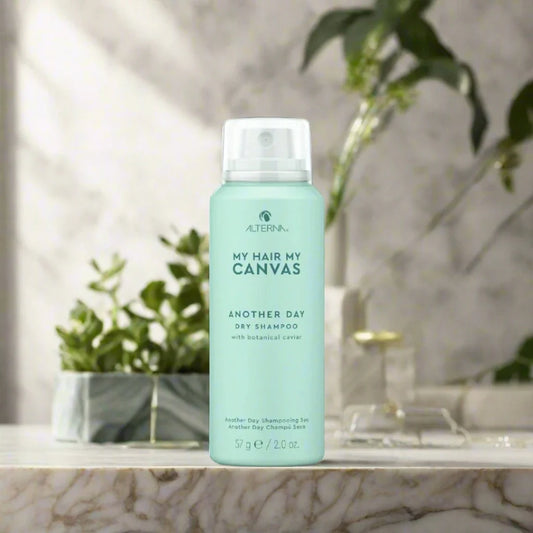 My Hair My Canvas Another Day Dry Shampoo 6.7 oz can, designed to refresh hair, absorb excess oil, and extend the life of your hairstyle for a clean, revitalized look.